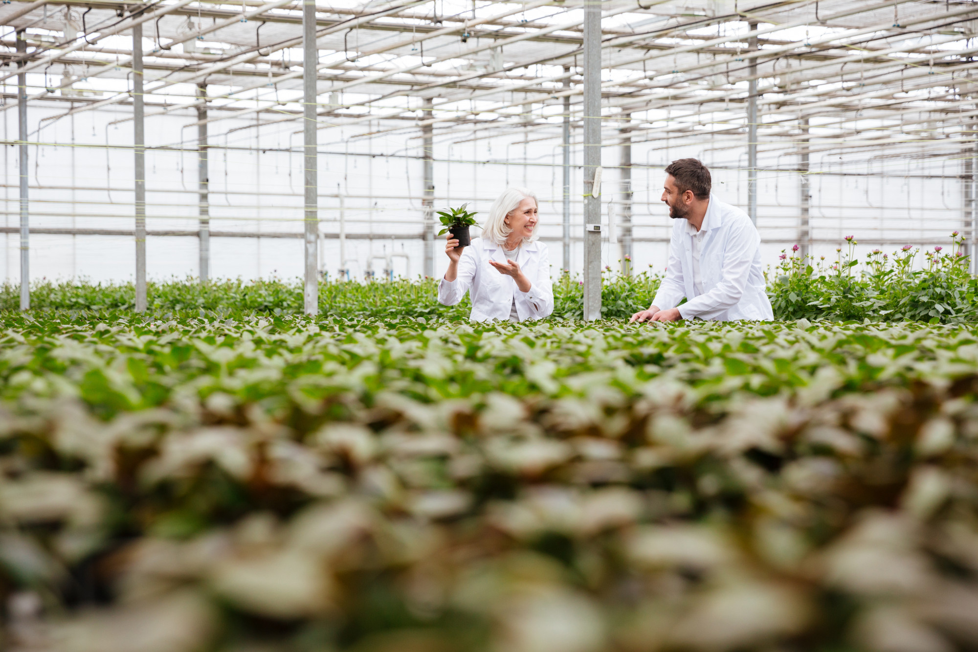 Impact des innovations agroalimentaire