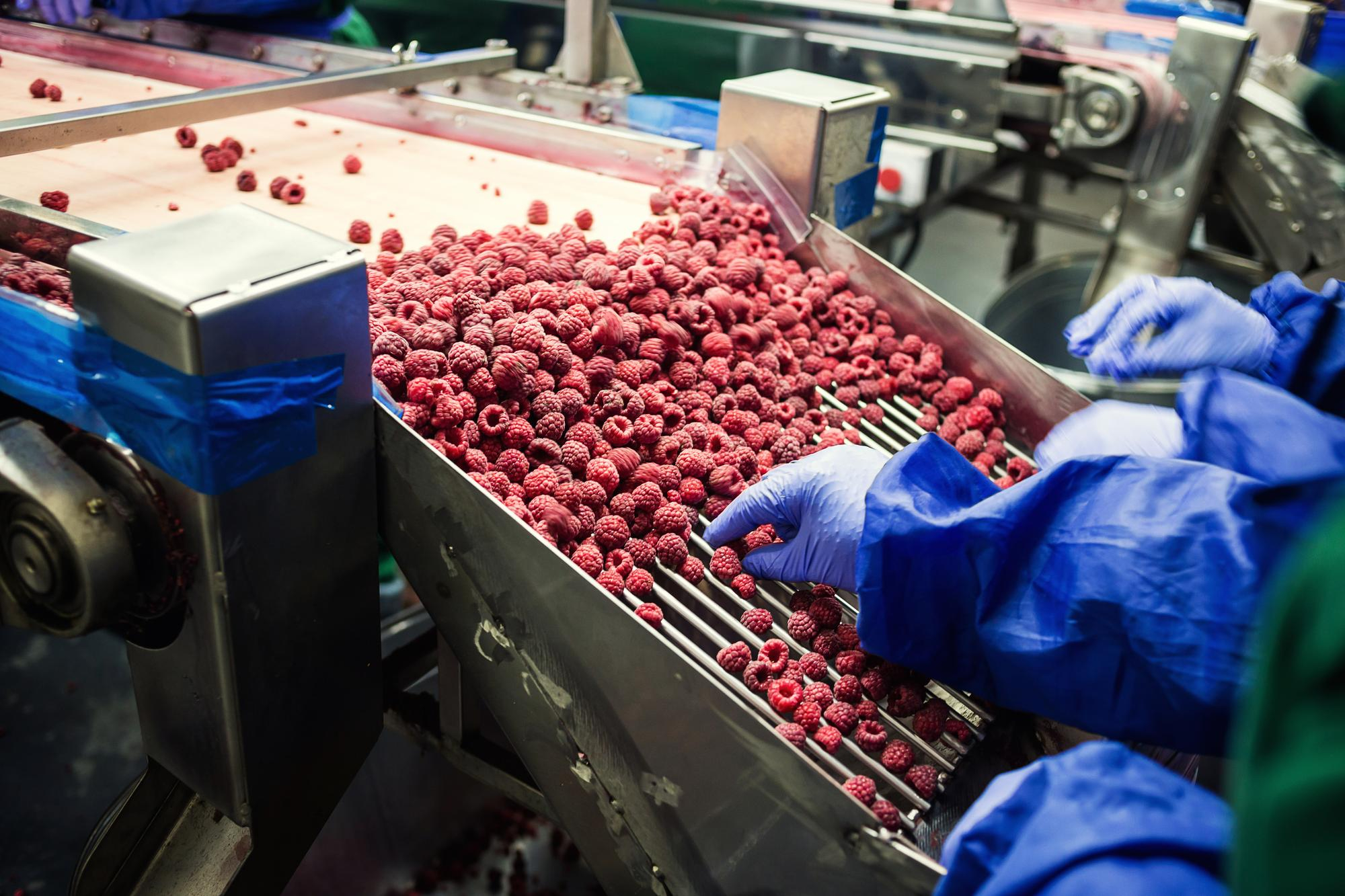 La durabilité dans l'agroalimentaire